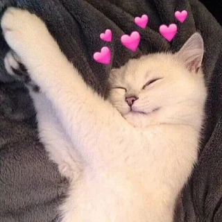 ☺️ emoji Cute kittens Telegram sticker 22 of 35