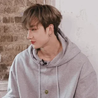 Sticker from 𝑩𝒂𝒏𝒈𝑪𝒉𝒂𝒏𝒊 ˖⋆❁࿐໋₊ @Bangchanisminebitch