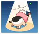😓 emoji Momo Cow vol 2 Telegram sticker 20 of 40