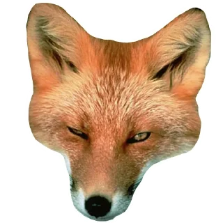 🥴 emoji Il Volpo Telegram sticker 12 of 20