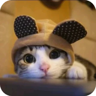 🐱 emoji Чорти Telegram sticker 11 of 65