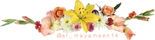 🌼 emoji ورود Telegram sticker 6 of 34