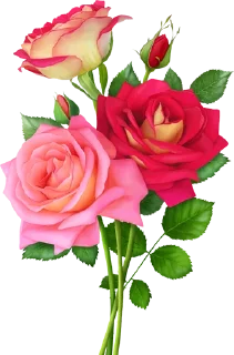 💐 emoji ورود Telegram sticker 19 of 34