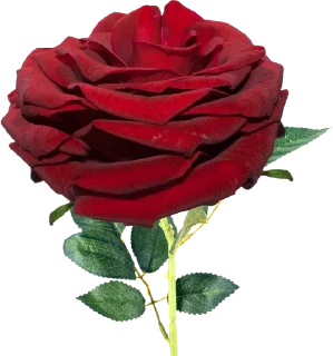🌹 emoji ورود Telegram sticker 16 of 34