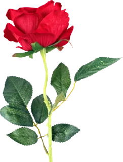 🌹 emoji ورود Telegram sticker 14 of 34