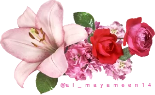 🌹 emoji ورود Telegram sticker 5 of 34