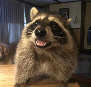 🦝 emoji Age of Racoons (pt3) @Marco9559 Telegram sticker 13 of 61