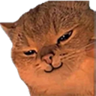 😈 emoji @dhzh9 Colle @bl_zh Martial @jt_dh Secrets @hhgjz Telegram sticker 21 of 120