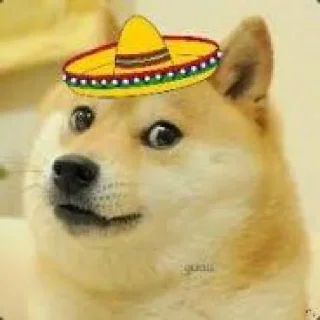 🤠 emoji doge Telegram sticker 4 of 27