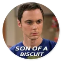 😤 emoji The Big Bang Theory - By Theodor Telegram sticker 6 of 77