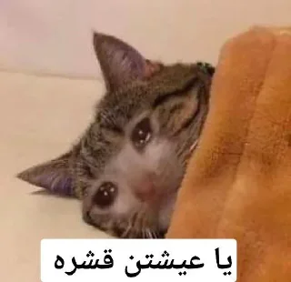 💔 emoji يا عيشتن قشره Telegram sticker 15 of 20