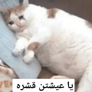 💔 emoji يا عيشتن قشره Telegram sticker 14 of 20