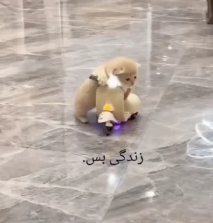🫠 emoji گوربه ی درانک Telegram sticker 7 of 12