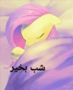 Sticker from پونی کوچولو🦄