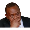 😔 emoji Freedom in Kenya Telegram sticker 21 of 41