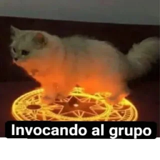 🙋‍♂️ emoji frases 2 Telegram sticker 18 of 49