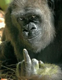 🖕 emoji ممد لاکر Telegram sticker 20 of 23