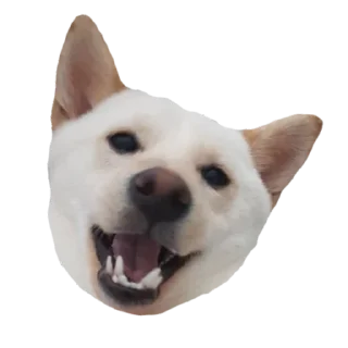 Sticker from YUKKI