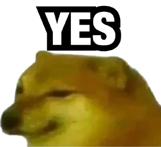 ✅ emoji Doge 🐶🐕 Telegram sticker 20 of 120