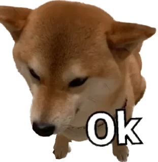 👌 emoji Doge 🐶🐕 Telegram sticker 17 of 120