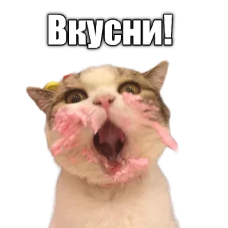 🧁 emoji Cats police Telegram sticker 9 of 120