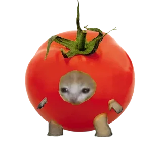 🍅 emoji gorba @goats_meme @stickerowo Telegram sticker 5 of 88