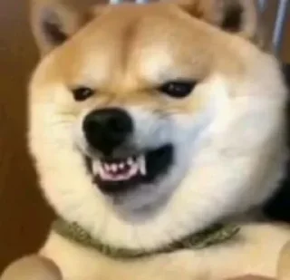 😕 emoji 玩体育做代理找我 @xlong1 Telegram sticker 21 of 120