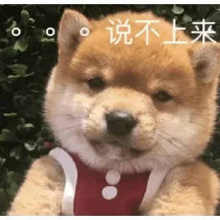 😅 emoji 玩体育做代理找我 @xlong1 Telegram sticker 12 of 120