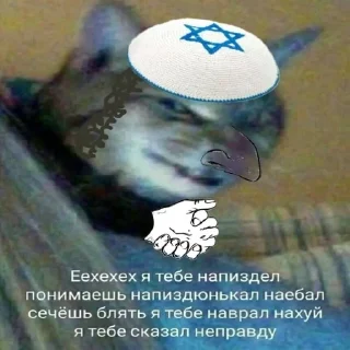 Sticker from Ебаный котлин чат заставляет меня плакать