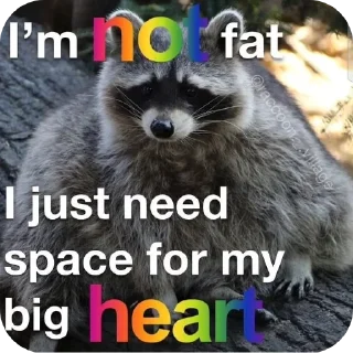 🐱 emoji Sad racoons Telegram sticker 19 of 42