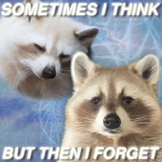 😳 emoji Sad racoons Telegram sticker 13 of 42