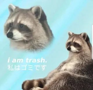 🚮 emoji Sad racoons Telegram sticker 9 of 42