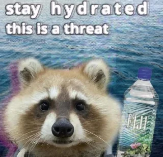 💦 emoji Sad racoons Telegram sticker 12 of 42