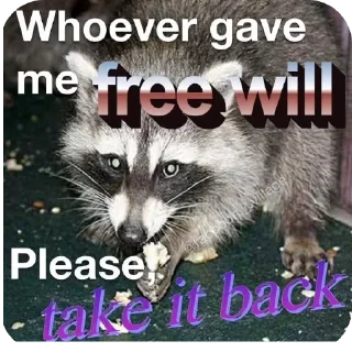 🐱 emoji Sad racoons Telegram sticker 21 of 42
