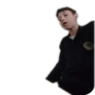 🌟 emoji Чебурек Telegram sticker 17 of 38