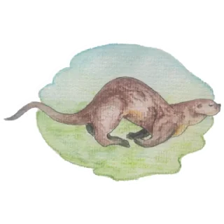 🏃 emoji Otters of Belarus Telegram sticker 20 of 26