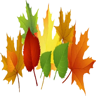 🍁 emoji @Sticker1_Gif  پاییز Telegram sticker 20 of 119