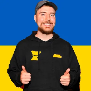 Sticker from мистер бист🥶