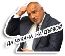 🌳 emoji Бат Бойко (@GH0STFACE) Telegram sticker 8 of 38