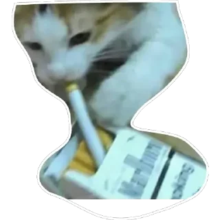 🚬 emoji Stickers Telegram sticker 21 of 35