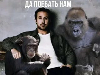 💀 emoji Ну как бы чел ты блейд ранер? Telegram sticker 8 of 44