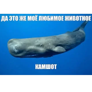 💦 emoji ЧВК "Акацуки" by @dryaed Telegram sticker 8 of 26