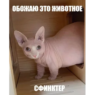 Sticker from ЧВК "Акацуки" by @dryaed