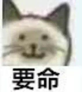 🙁 emoji 小思的常用表情包💞 @Wsnd666888 Telegram sticker 5 of 49
