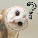 Sticker from Owls