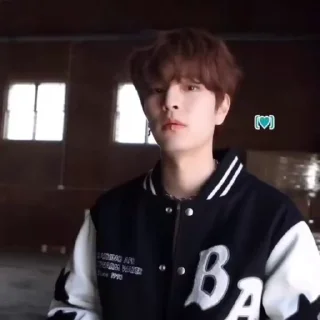 🪽 emoji SKZ 특 BTS @skzstickers Telegram sticker 11 of 50