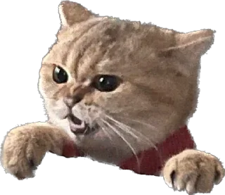 😡 emoji ⭐⭐⭐⭐⭐ Happy  Dog friends Telegram sticker 15 of 116