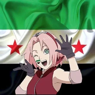 🇸🇾 emoji 🇸🇾 يلا ارحل يابشار 🇸🇾 Telegram sticker 15 of 34
