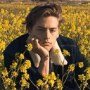 Sticker from Cole SprouSe