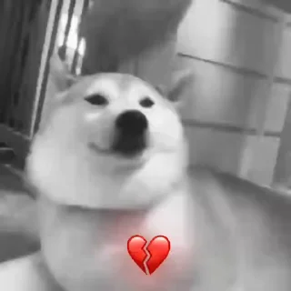 💔 emoji 🗽ғʀᴀɴᴄᴇsᴄᴏ Telegram sticker 19 of 27